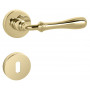 Door handle CARINA 2 - R - Gold polished