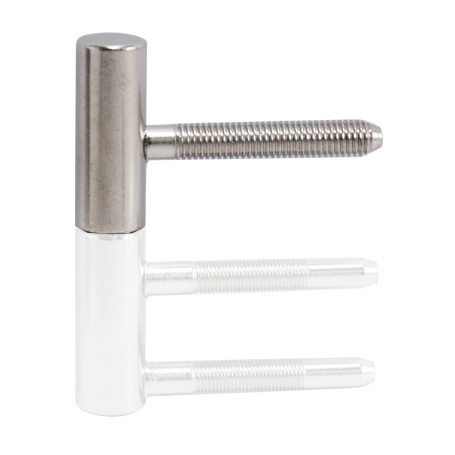 Hinge for door OTLAV 100/15 - Polished nickel