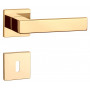 Handle APRILE PINA - HR 7S - Polished brass