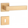 Handle APRILE PINA - HR 7S - Brushed brass
