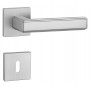 Handle APRILE RAFLESIA - HR 7S - Brushed chrome