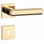 Handle APRILE RAFLESIA - HR 7S - Polished brass