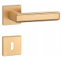 Handle APRILE RAFLESIA - HR 7S - Brushed brass