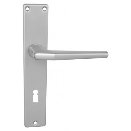 Handle BRIALMA LUCIA - Silver matt)