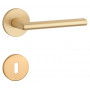 Türgriff APRILE KALMIA - R 7S - Gold matt