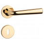 Handle APRILE TULIPA - R 7S - Polished brass