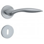 Handle APRILE TULIPA - R 7S - Brushed chrome