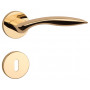 Handle APRILE TULIPA - R 7S - Polished brass