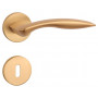 Handle APRILE TULIPA - R 7S - Brushed brass