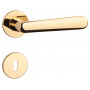 Handle APRILE ARIA - R 5S - Polished brass