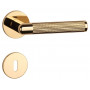Handle APRILE LOBELIA - R 5S - Polished brass