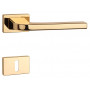Handle APRILE ISMENA - RT 7S - Polished brass
