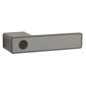 Handle APRILE MAHONIA - RT - Titan