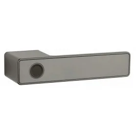 Kilincs APRILE MAHONIA - RT - Titán