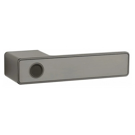 Handle APRILE MAHONIA - RT - Titan