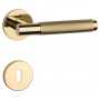 Handle APRILE MOLINIA - R 7S - Gold polished