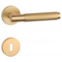 Handle APRILE MOLINIA - R 7S - Gold matt