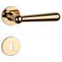 Handle APRILE ROSEMARY - R 7S - Gold polished