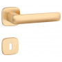 Door handle APRILE STELLA - HRO 7S - Gold matt
