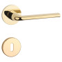 Handle APRILE OLEANDRO - R 7S - Gold polished