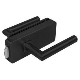 Glastürschloss UNIQUE R8 + Griffe FAVORIT - Schwarz matt